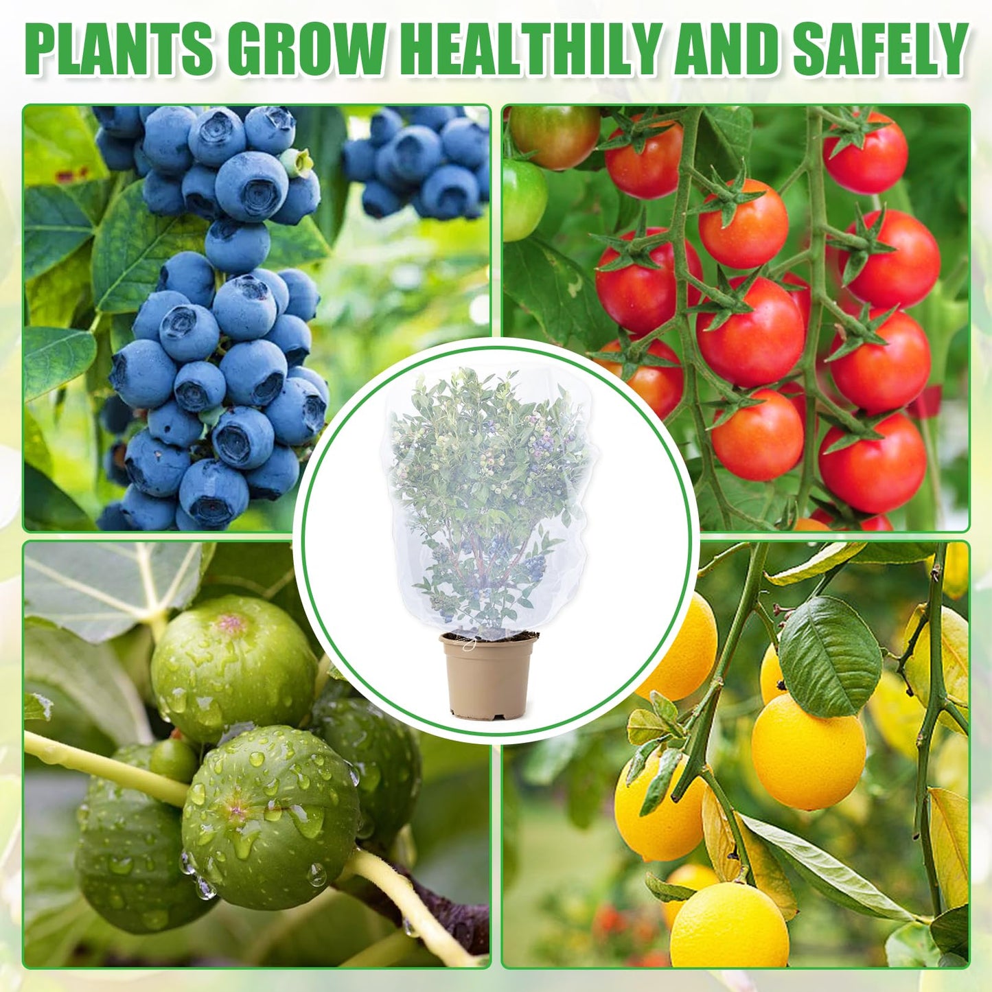 6 Pack Insect Bird Netting Cover - 3.3x5FT Garden Netting Blueberry Bushes Plant Covers with Drawstring, Fine Mesh Fruit Tree Net for Protecting Lemon Orange from Barrier Squirrel Deer