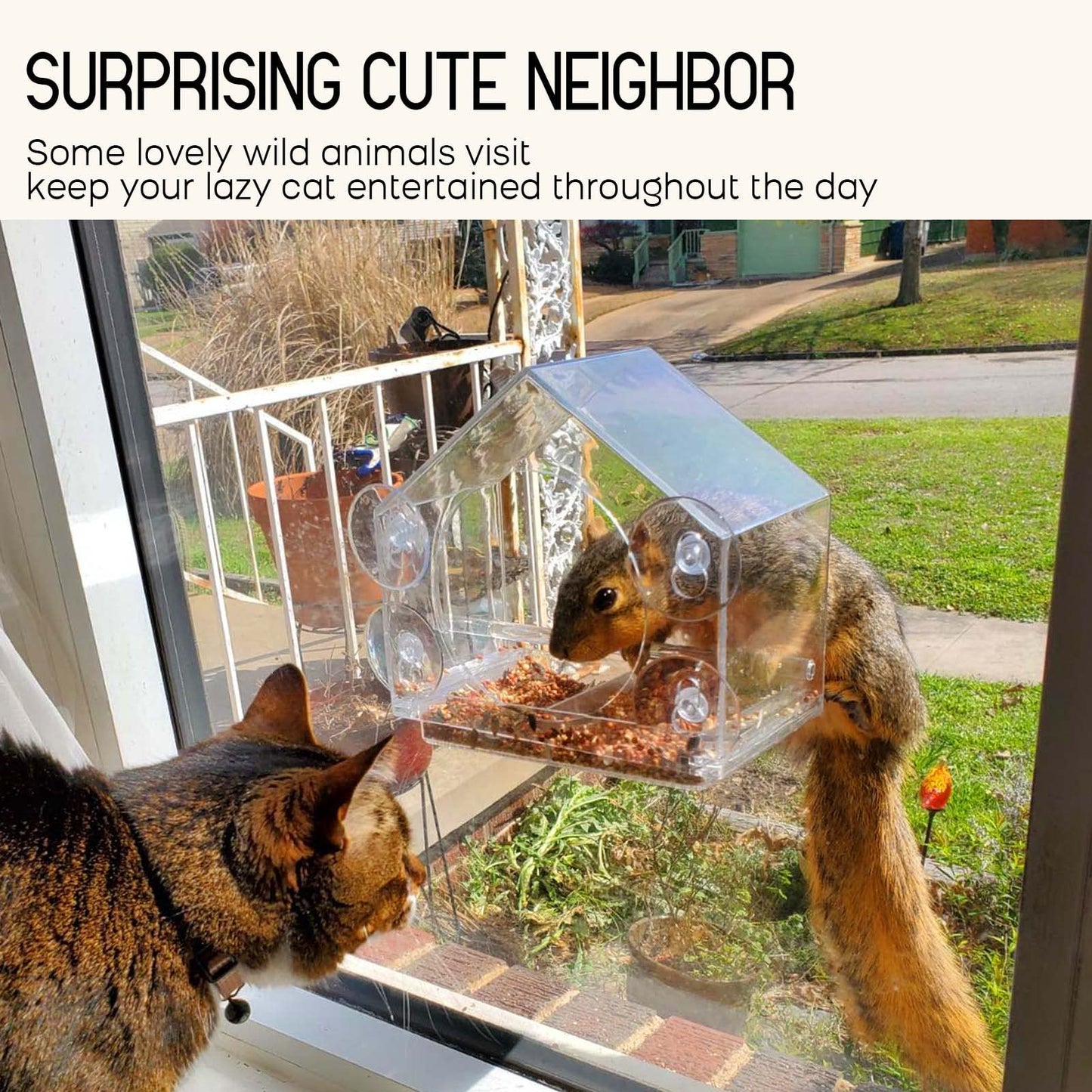 Mrcrafts Window Bird Feeder for Outside with Strong Suction Cups, Fits for Cardinals, Finches, Chickadees etc.