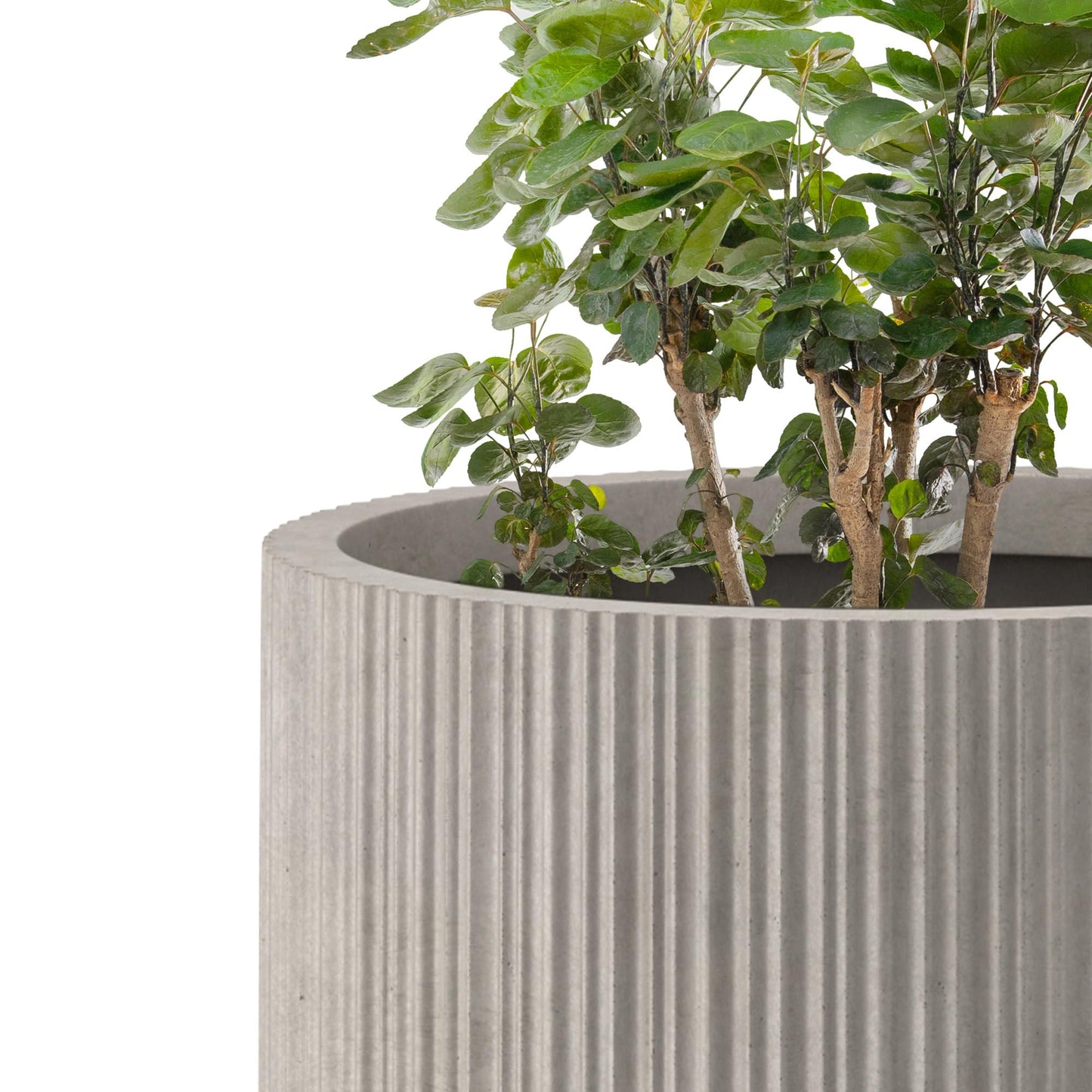 Kante 24 Inch Tall Round Concrete Planter, Large Indoor Outdoor Plant Pots with Drainage Hole and Rubber Plug, Modern Decorative Garden Pots for Home Patio Porch, Textured Weathered Concrete