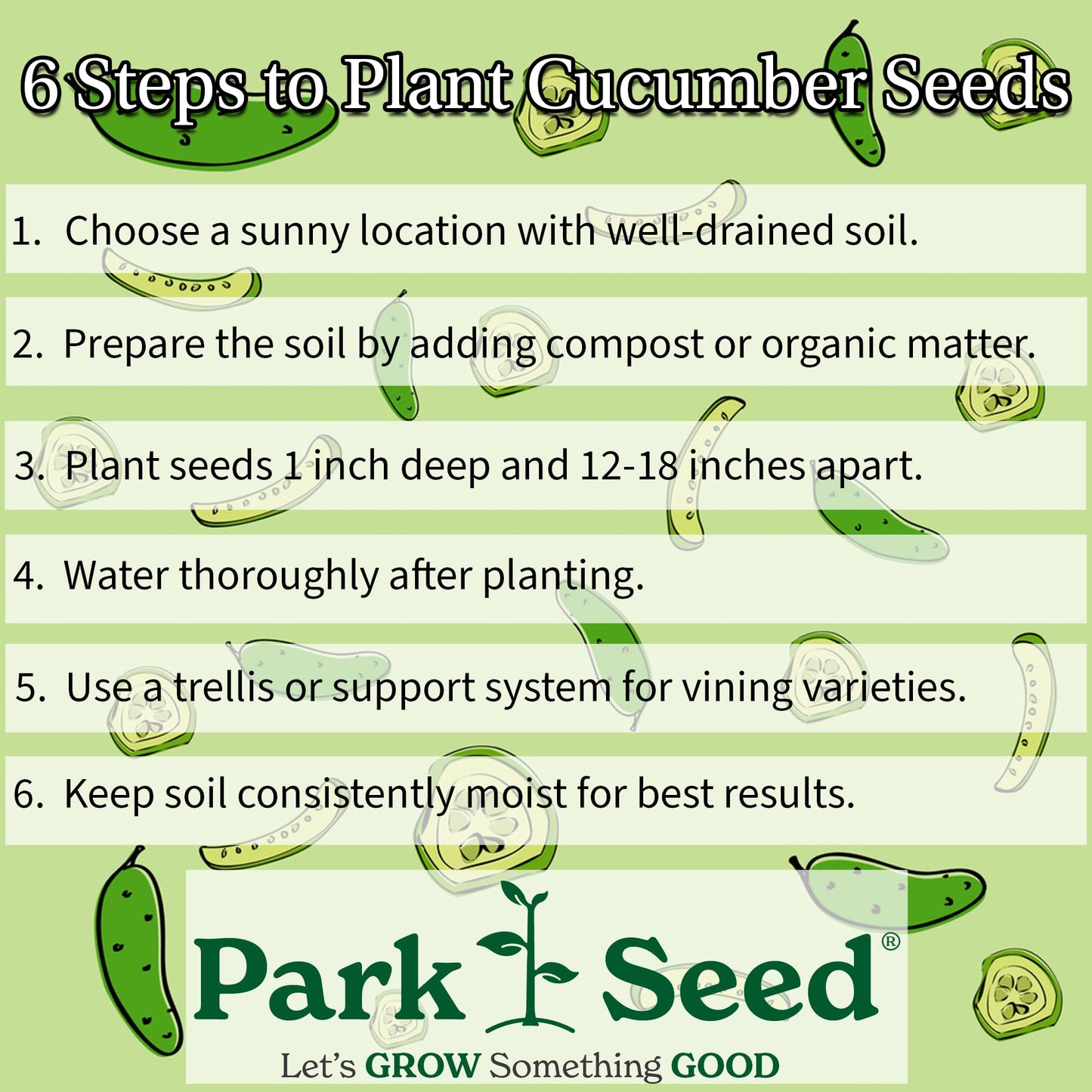 Park Seed Variety of Cucumber Seeds, Planting Cucumbers, Vegetable Seeds, Easy to Grow, Non-GMO, Perfect for Harvesting, Mini-Me F1 Organic, 2 x Pack of 10