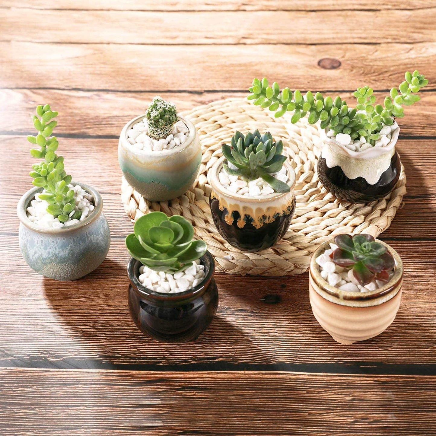 T4U Mini Ceramic Succulent Pots with Drainage - Set of 6, Tiny Pots for Plants, Home and Office Decor, Plant Lover Gifts for Women