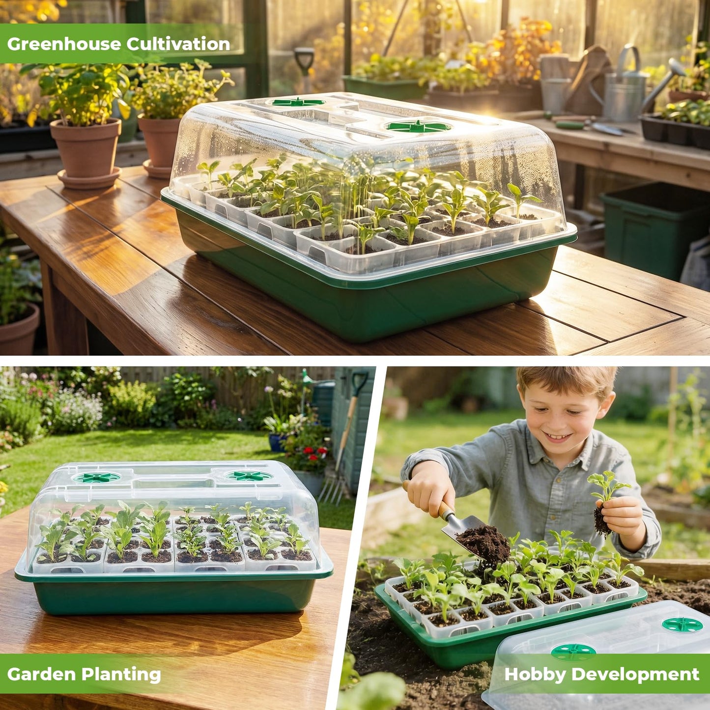 HIRALIY Seed Starter Tray Kits, Reusable Plant Germination Trays, Easy Transplanting, with Humidity Domes and Bases (Green, 40-Cells)