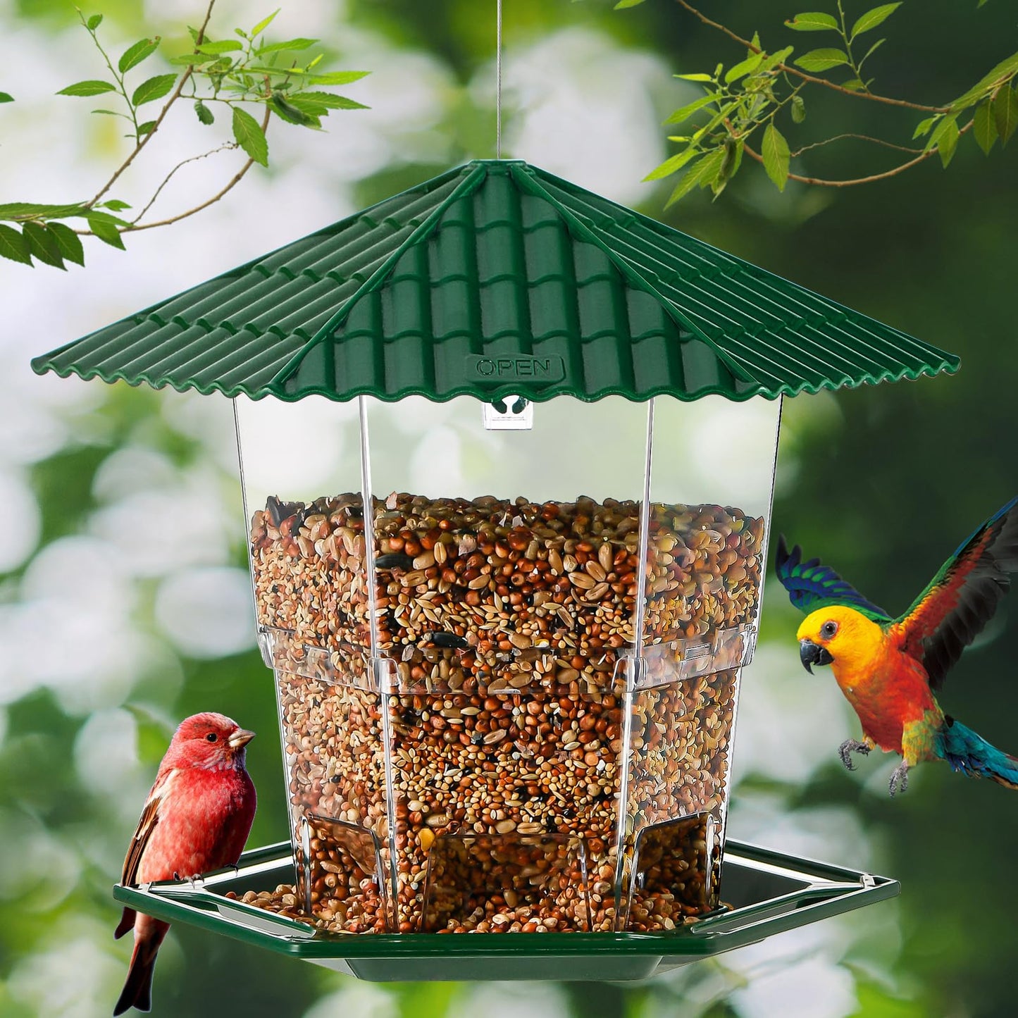 Jealoeur 2 Pack Bird Feeders for Outdoors Hanging Bird Feeder Wild Birds Seed, Green BB