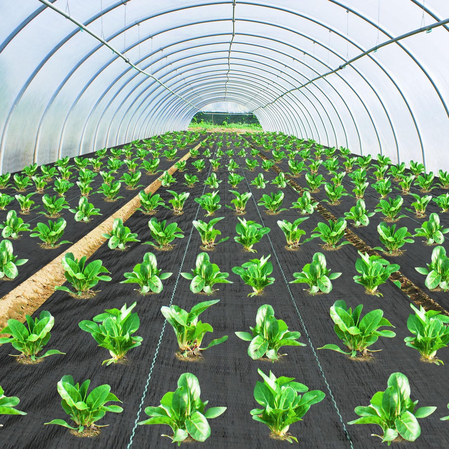 Pattiumo Weed Barrier Fabric 3x300FT Landscape Fabric 3.2oz Weed Barrier Fabric Heavy Duty for Landscaping Fabric Garden Fabric Weed Barrier Weed Blocker Garden Bed Cover, Commercial Driveway