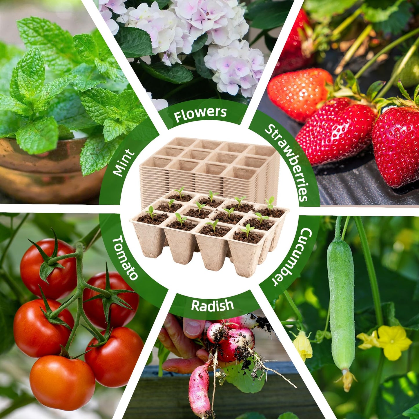 Hanmsen Seed Starter Tray,240 Cell Biodegradable Peat Pots Seed Starter Kit,Organic Germination Trays for Vegetable Flower Seedlings with 20 Plant Labels & 2 Garden Tools -20 Pack