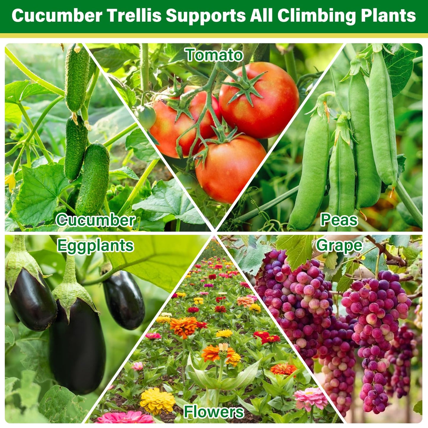 Sunwinx 35x51 Inch Cucumber Trellis for Raised Bed, Adjustable A-Frame Garden Trellis for Climbing Plants Outdoor with Climbing Net, Meal Plant Trellis for Vegetables Pea Bean Tomato Squash Grape