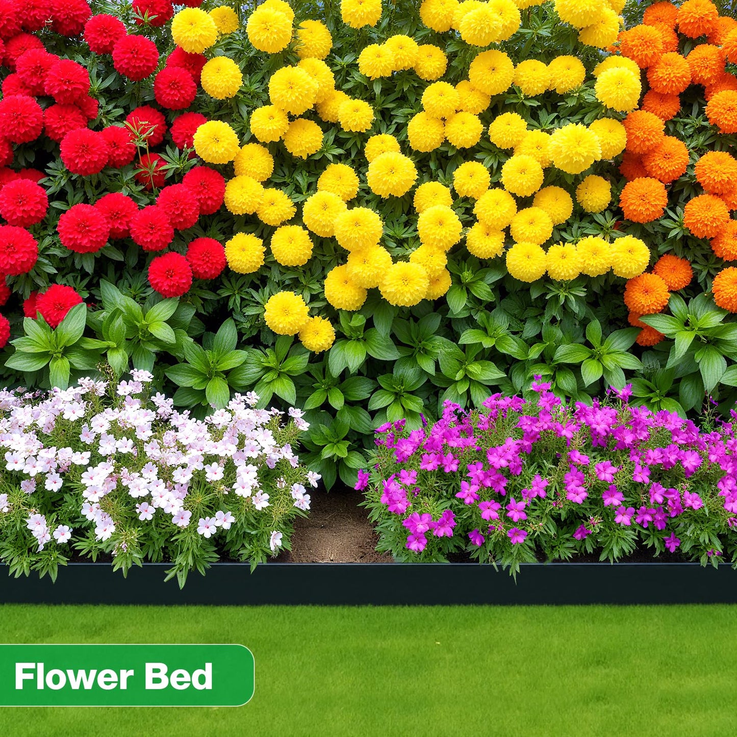 MIXC Garden Edging Border, 100FT 2 Inch Tall Plastic Landscape Edging with 150 Stakes, Flexible Tool-Free Lawn Border for Yard, Flower Bed & Landscaping