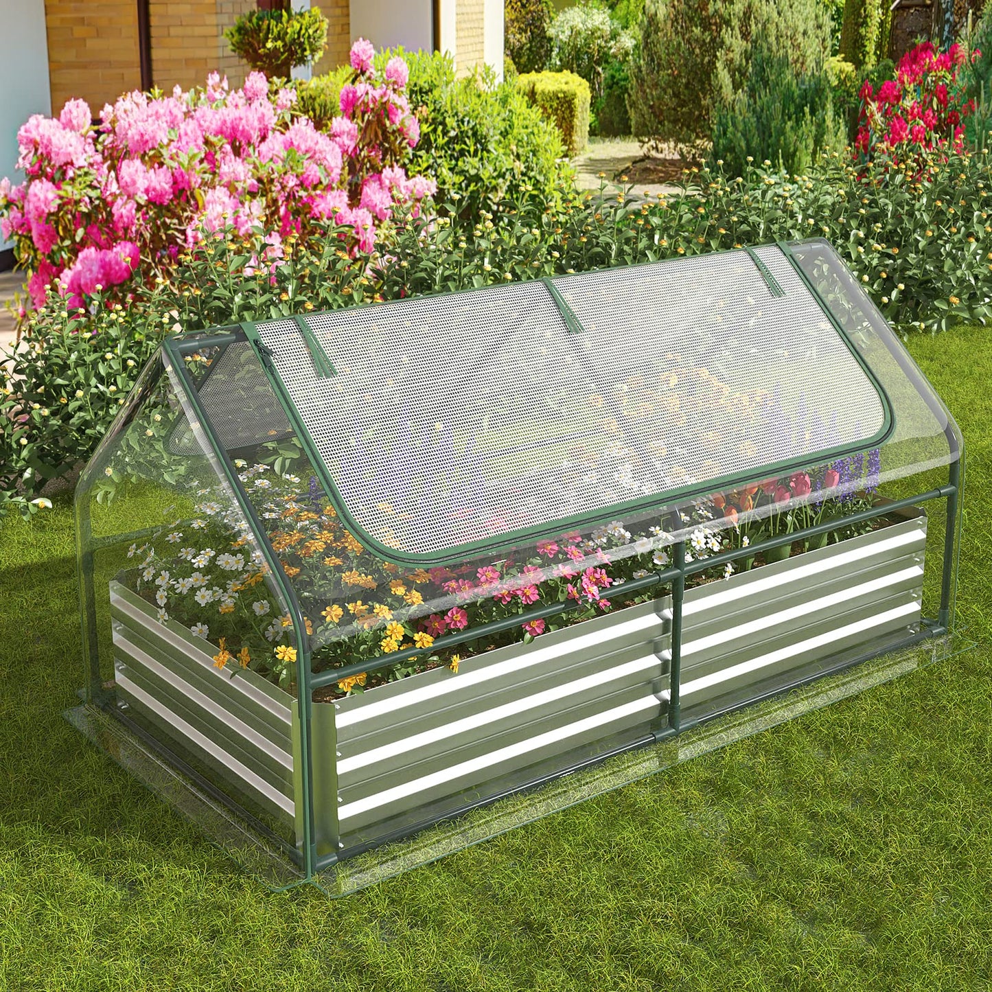 S AFSTAR Raised Garden Bed with Cover, 6FT x 3FT x 3FT Galvanized Bottomless Garden Bed with Greenhouse, Dual 2-Tier Roll-Up Windows, Easy Venting & Watering, Outdoor Metal Planter Box Kit with Cover