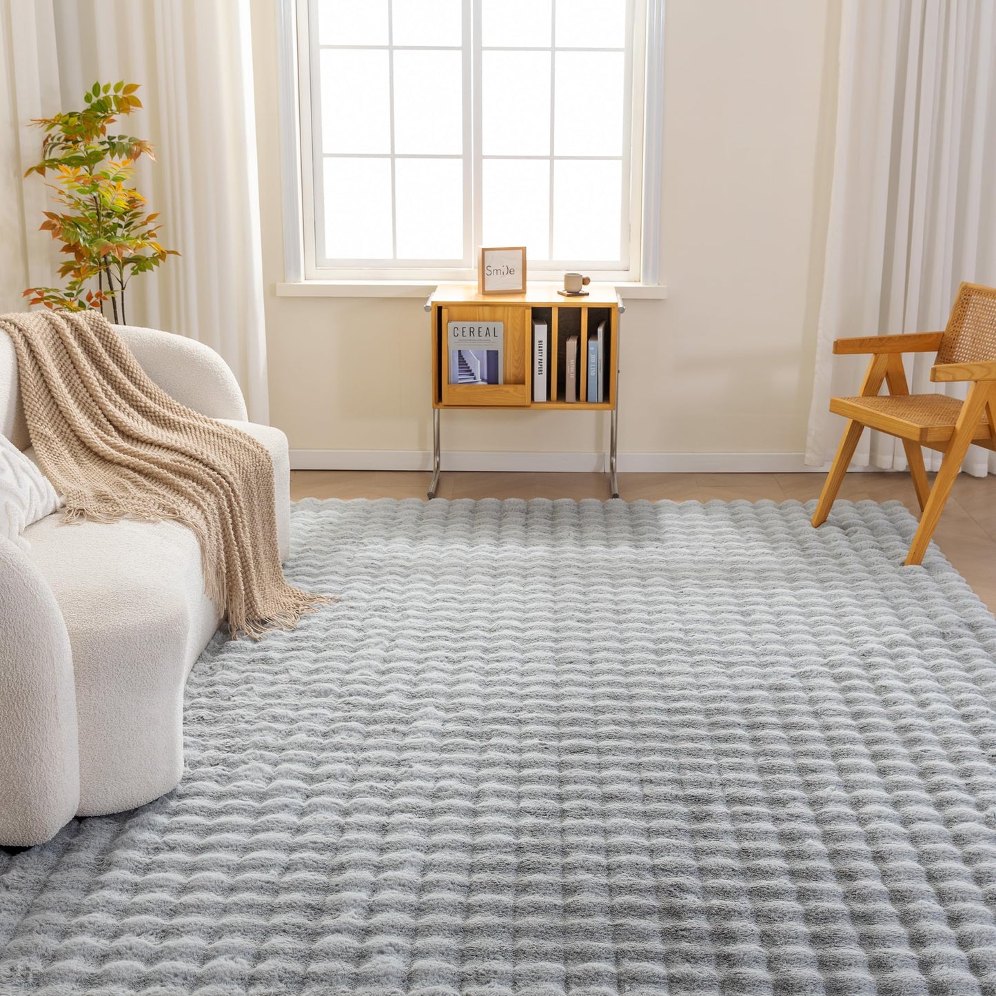 Amazon Basics Indoor Area Rug, 3D Bubble Washable Home Decor Carpet for Living Room, Bedroom, 4' W × 6' L, Grey