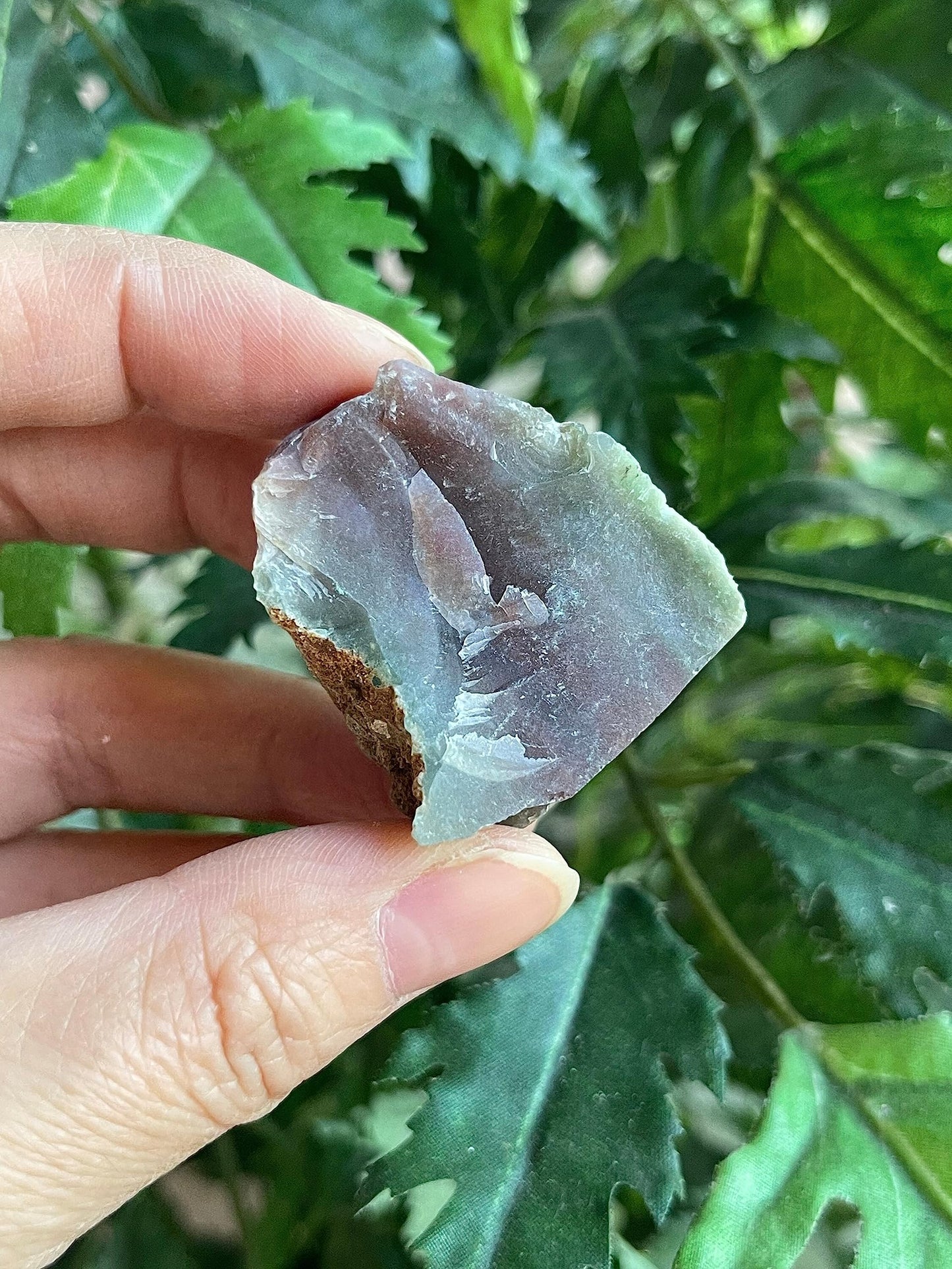 GAF TREASURES Wholesale Raw Bloodstone Crystals, Natural Bloodstone Stone, Natural Rough Bloodstone Crystals, Bloodstone Rough, Bloodstone Healing Crystals (Bloodstone, 0.5 Pound)