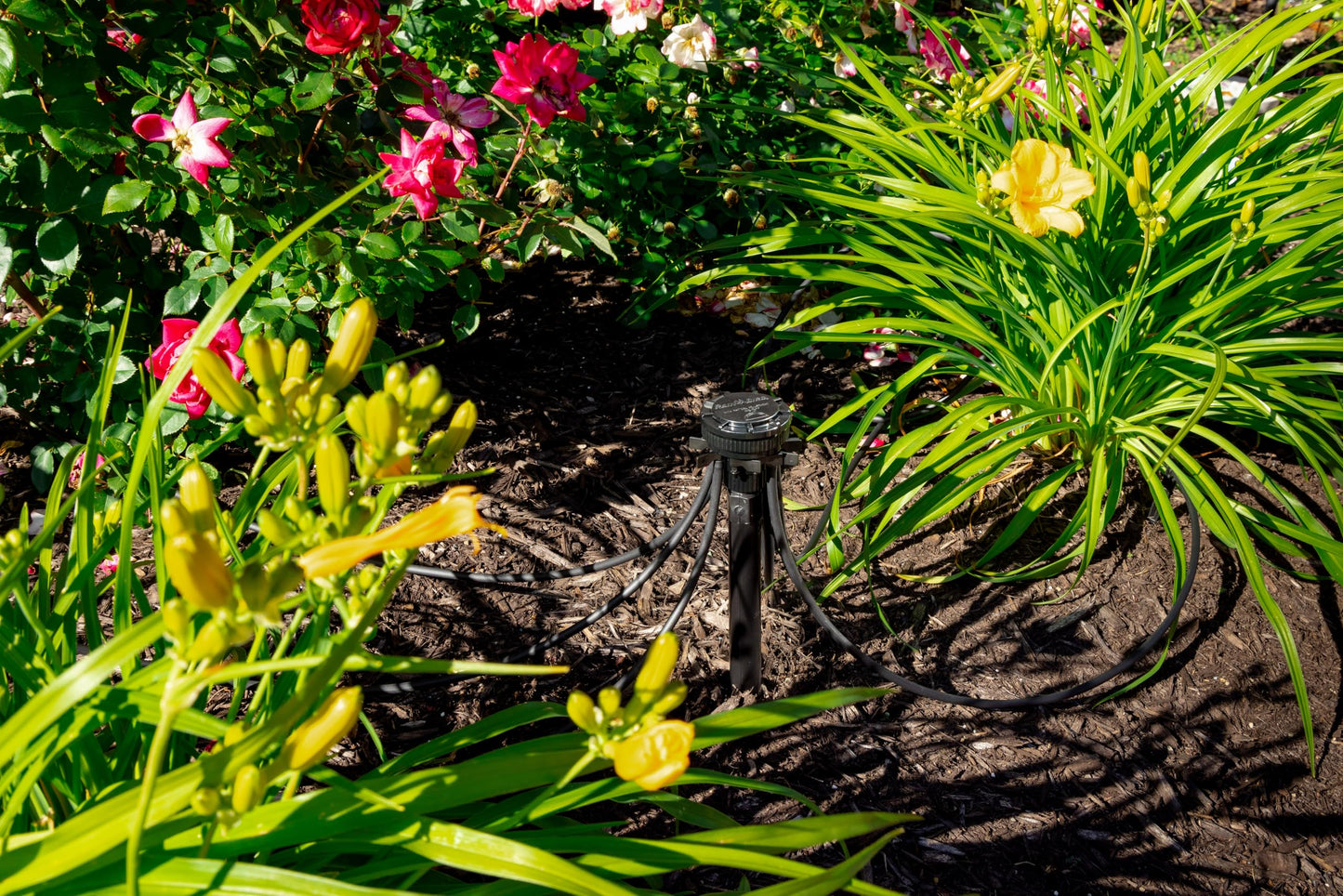 Rain Bird MANIFPRPS2 Drip Irrigation 9-Port Manifold, 25 PSI Pressure Regulating, Adjustable Flow and ON/Off