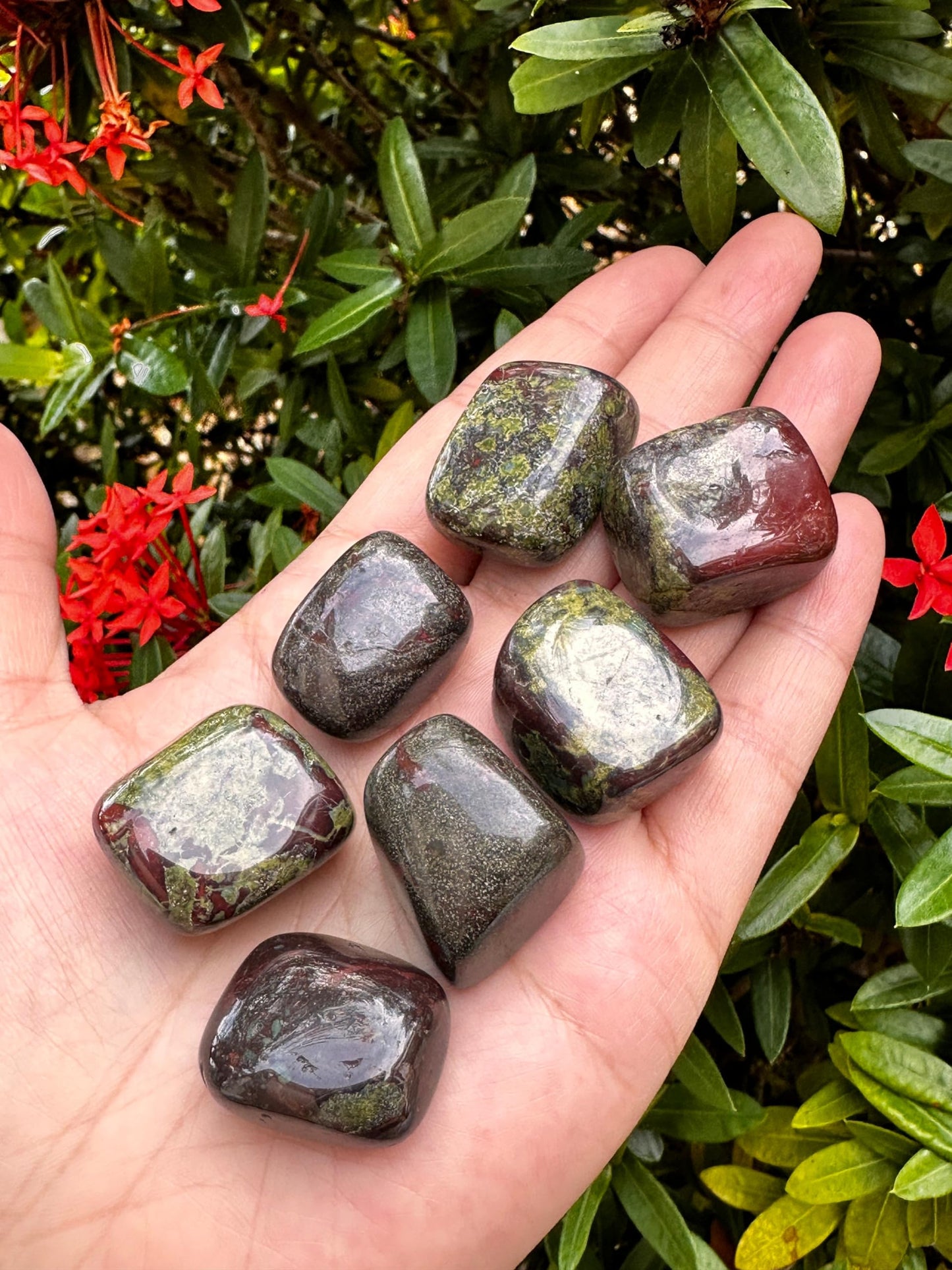 GAF TREASURES 5 Pcs Dragon Blood Jasper Tumbled Stones, Polished Dragon Blood Jasper Gemstone, Dragon Blood Jasper Healing Crystals (Dragon Blood Jasper)