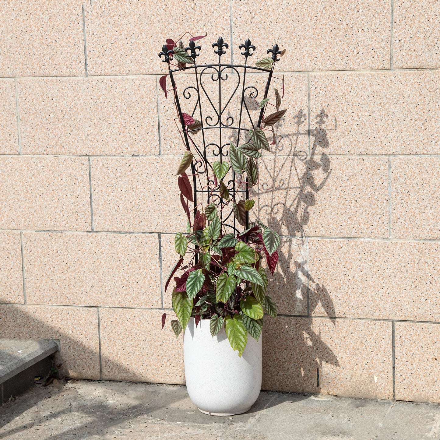 GOOOXIM Heavy Duty Indoor Trellis for Climbing Plants Set of 3 โ 31x12 Inches Premium Iron Plant Support for Garden, Balcony, and Indoor Spaces โ Perfect for Monstera and Other Houseplants