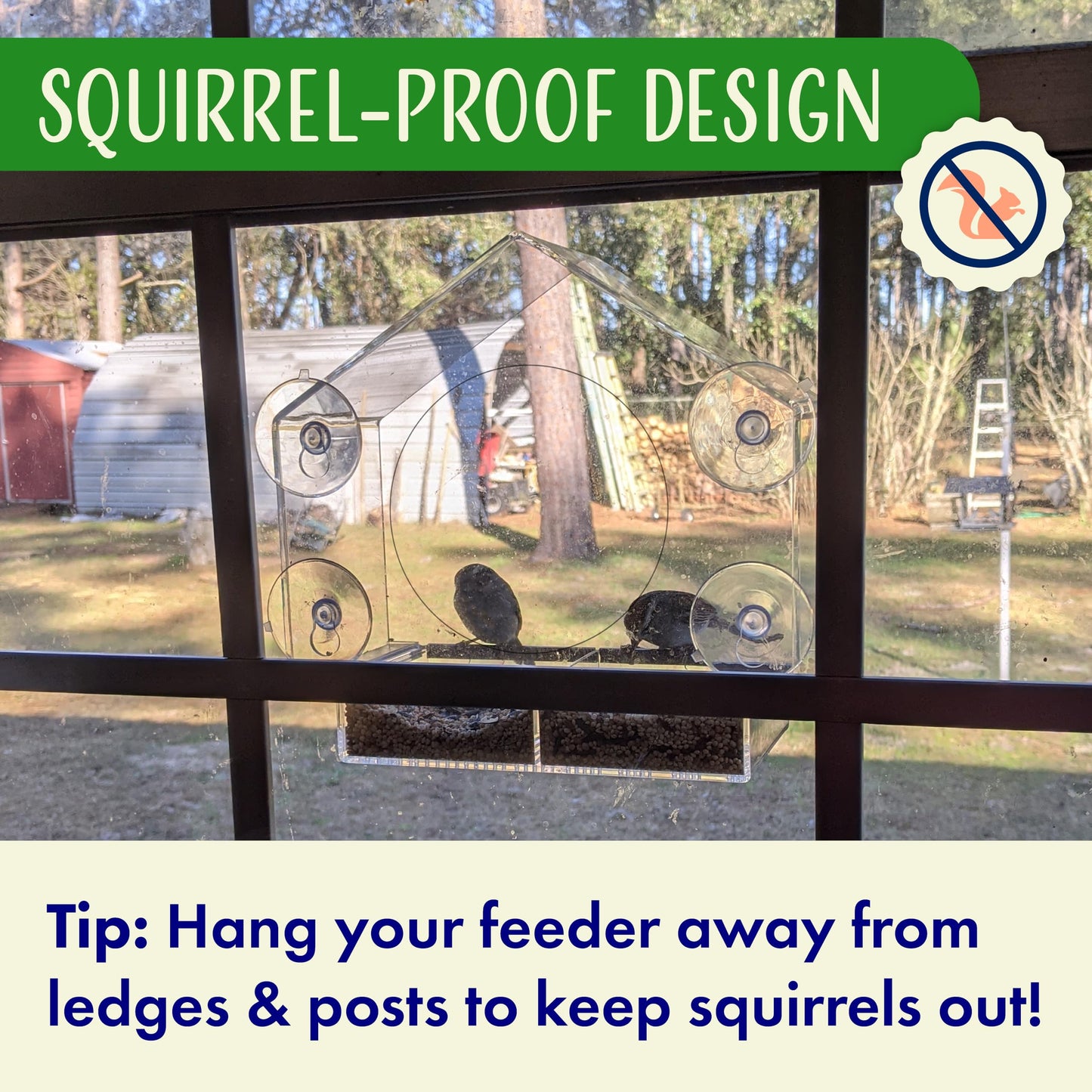 Clear Bird Feeders for Window Viewing Inside - Window Bird House Feeder with Suction Cups - Balcony Birdhouse Feeder with Tray - Easy to Use for Wildlife Lovers, Birding, Kids, Cat, & Elderly