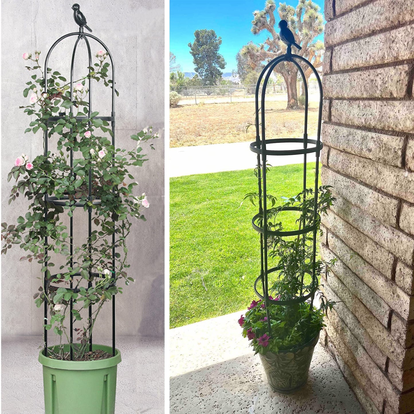 Garden Trellis for Climbing Plants, Rustproof Metal Pipe with Heavy Duty 6ft, Garden Outdoor Indoor Potted Plant Support(Black)