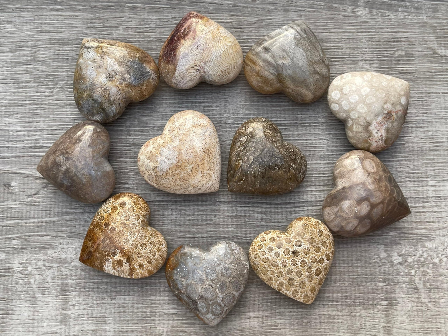 GAF TREASURES Fossil Coral Gemstone Hearts, Polished Fossil Coral Puffy Hearts, Fossil Coral Crystal Palm Stone, Fossil Coral Healing Crystal Hearts (1 Heart)