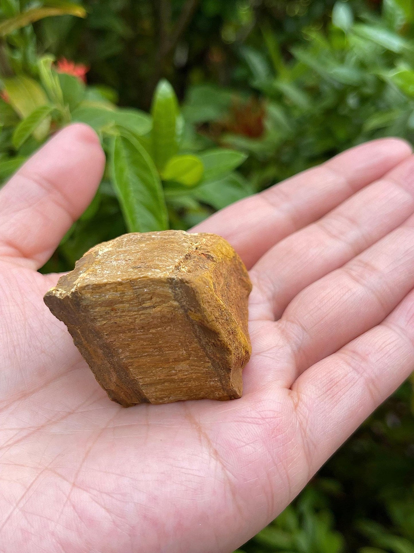 GAF TREASURES Wholesale Raw Tiger Eye Crystals, Natural Tiger Eye Stone, Natural Rough Tiger Eye Crystals, Tiger Eye Rough, Tiger Eye Healing Crystals (Tiger Eye, 0.5 Pound)
