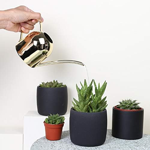 YISSSN Small Watering Can for Indoor Plants, 15oz/450ml Stainless Steel Long Spout Watering Can for Succulents, Herbs (Gold)