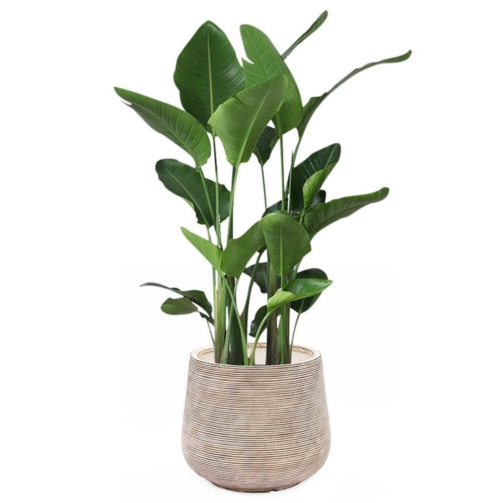 LuxenHome 17" Dia Large Round Planters for Indoor Plants, Outdoor Planters with Drainage Holes, Farmhouse Distressed Plant Pots Indoor & Outdoor for Home Garden Patio