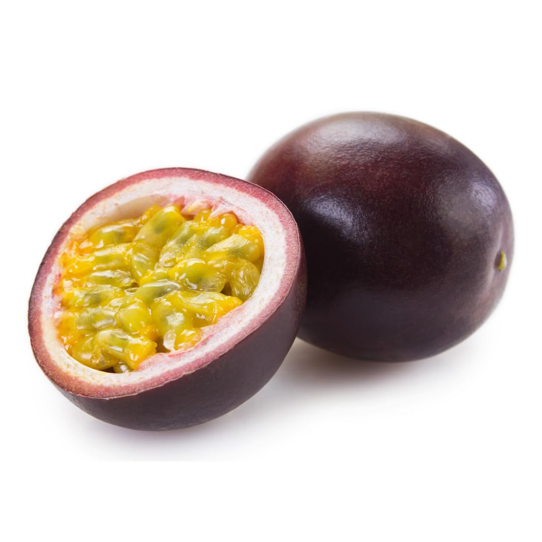 Purple Passion Fruit Tree Live Plant, Passionfruit Vine Plant, 5 to 9 Inc Tall Seedling, Passion Plant for Growing