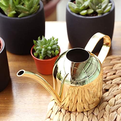 YISSSN Small Watering Can for Indoor Plants, 15oz/450ml Stainless Steel Long Spout Watering Can for Succulents, Herbs (Gold)