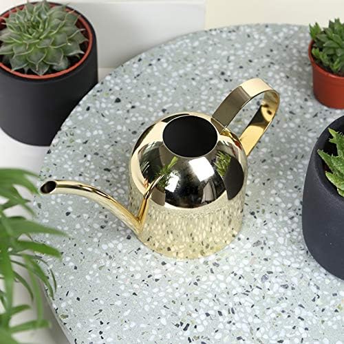YISSSN Small Watering Can for Indoor Plants, 15oz/450ml Stainless Steel Long Spout Watering Can for Succulents, Herbs (Gold)