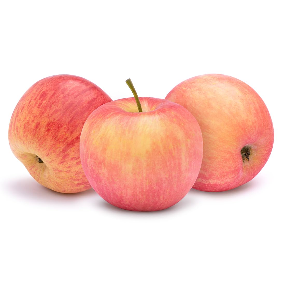 American Plant Exchange Fuji Apple Tree, 5 Gallon Pot, 3-4 ft Tall, Live Outdoor Fruiting Plant, Sweet & Tart Fruit