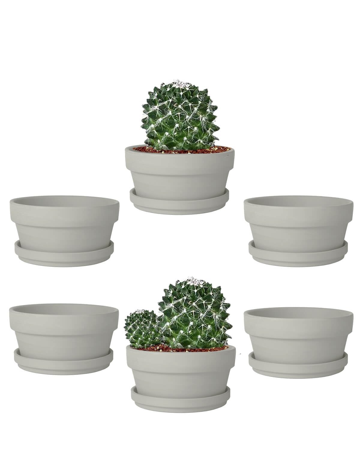 vensovo 5.7 Inch Grey Terracotta Shallow Succulent Pots - 6 Pack Terra Cotta Clay Pot with Saucer, Cacuts Indoor and Outdoor Planters with Drainage Hole