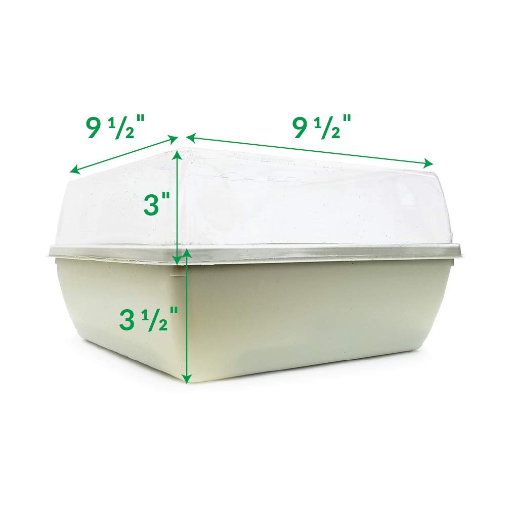 Jiffy Seed Starter Tray Kit - Self-Watering, High Germination Rate, Seedling Tray - 2 Pack, Peat/Plastic