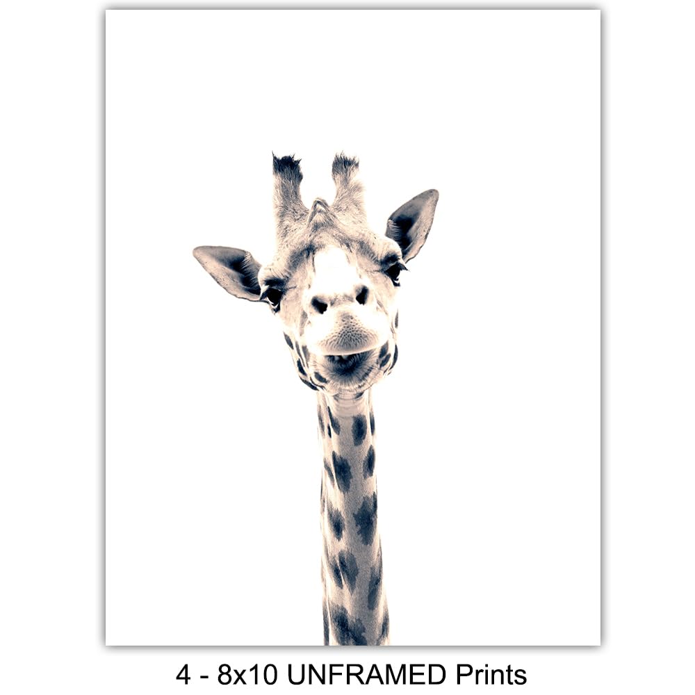 Black and White Photography African Animals Art Print Set, Wall Art Posters - Unique Contemporary Decor for Home or Office - Great Inexpensive Housewarming Gift for Nature Lovers, 8x10 Photos Unframed