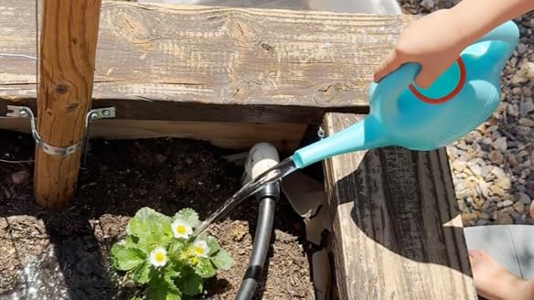 Watering Can - with Spout