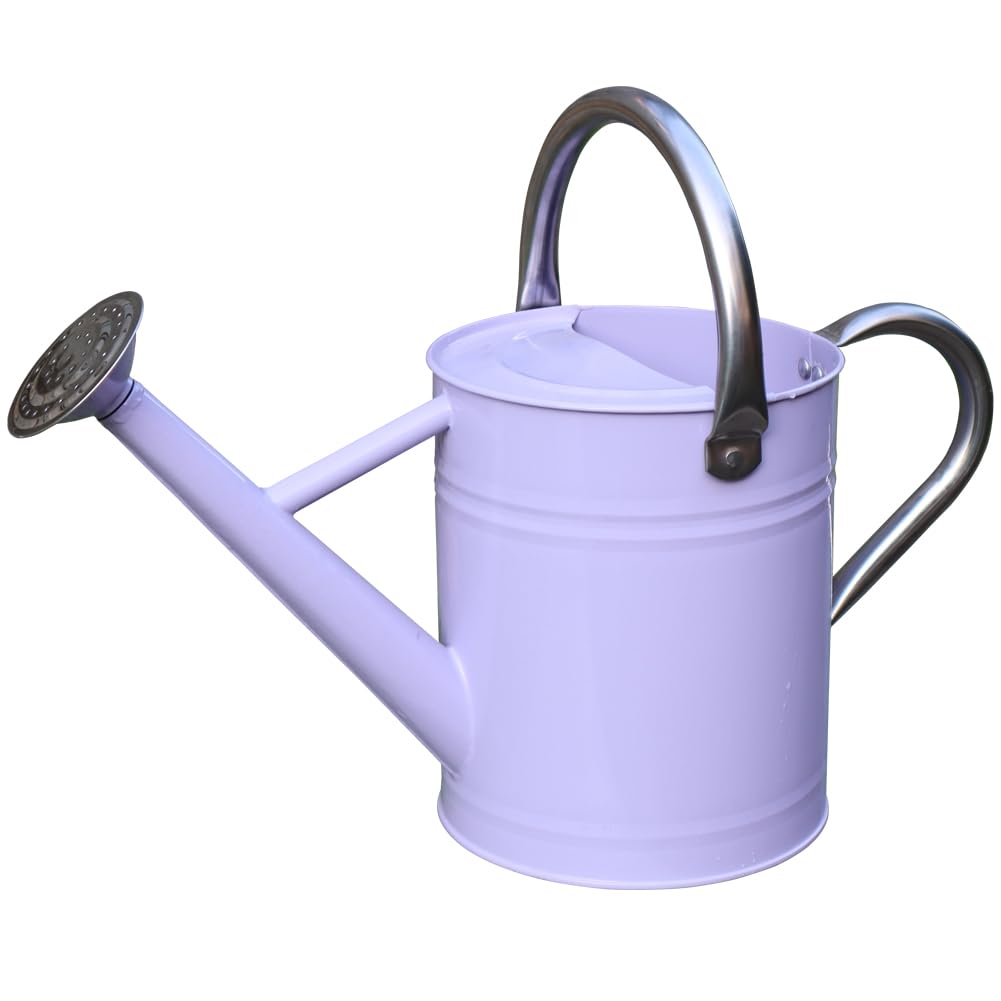 yourjoy Metal Watering Can, One Gallon Watering Cans Stainless Steel for Outdoor Indoor Garden Plants Watering (Stainless Steel Handle Purple)