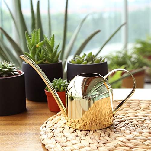 YISSSN Small Watering Can for Indoor Plants, 15oz/450ml Stainless Steel Long Spout Watering Can for Succulents, Herbs (Gold)