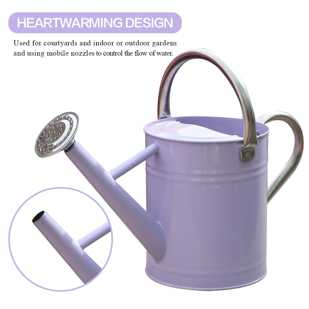 yourjoy Metal Watering Can, One Gallon Watering Cans Stainless Steel for Outdoor Indoor Garden Plants Watering (Stainless Steel Handle Purple)