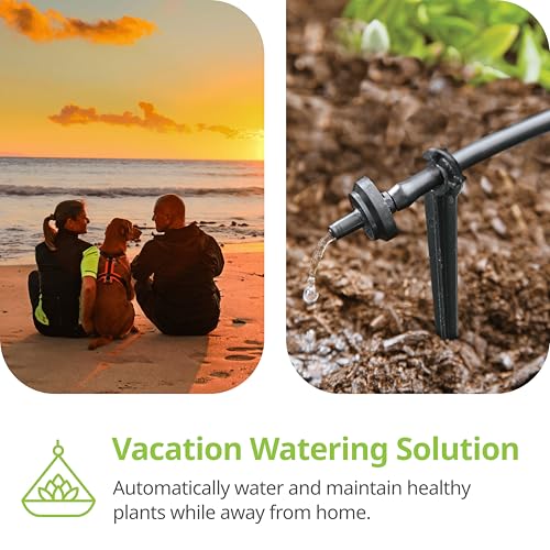 Raindrip R560DP Drip Watering System, Automatic Drip Irrigation System with Timer for Containers and Hanging Baskets, Waters up to 20 Plants, Includes 20 Drippers, Black