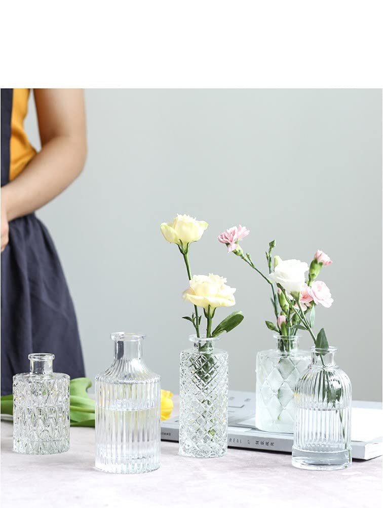 Mini Clear Glass Vase,Small Flower Bud Vase Hydroponics Planter Decorative for Flower,Table,Party,Home,Centerpieces(Clear 6)
