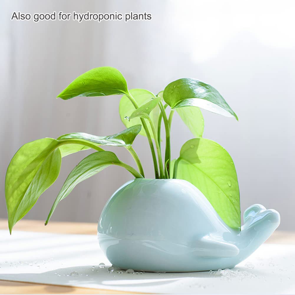Mimeela Whale Planter Air Plant Holder Unique, Ceramic Animal Succulent Pots Large Air Plants Holders, Cactus Pot Airplant Planter Holder Office Desk Decor (Light Blue Whale)