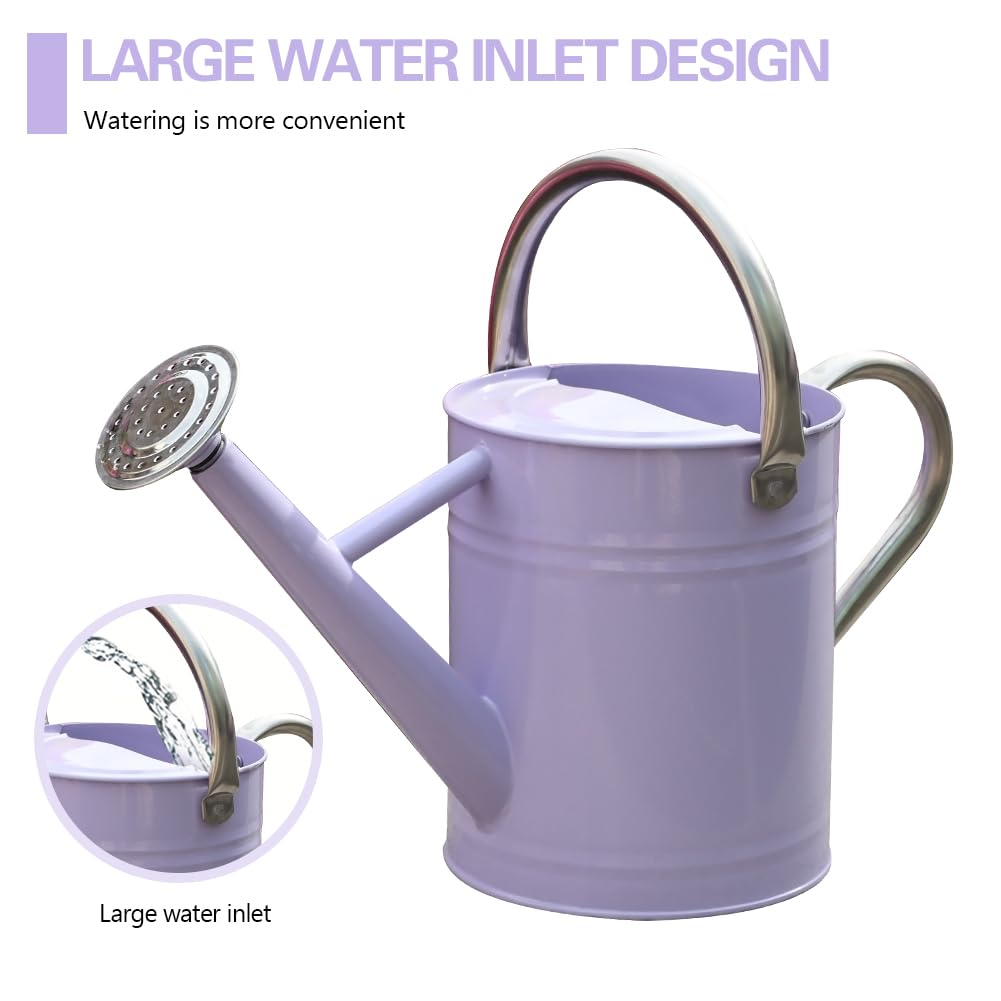 yourjoy Metal Watering Can, One Gallon Watering Cans Stainless Steel for Outdoor Indoor Garden Plants Watering (Stainless Steel Handle Purple)