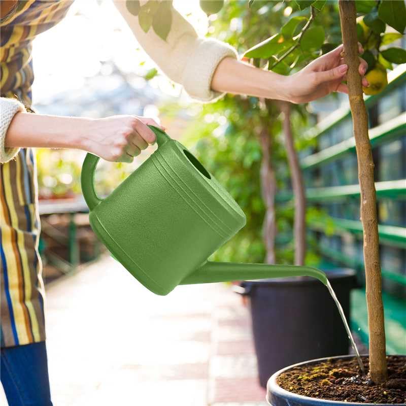 TTAOE GN Plant Watering Can for Home Garden - with Long Spout - 1/4 Gallon - Green