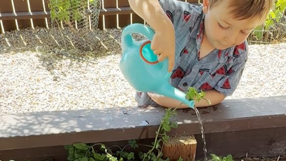 Watering Can - with Spout