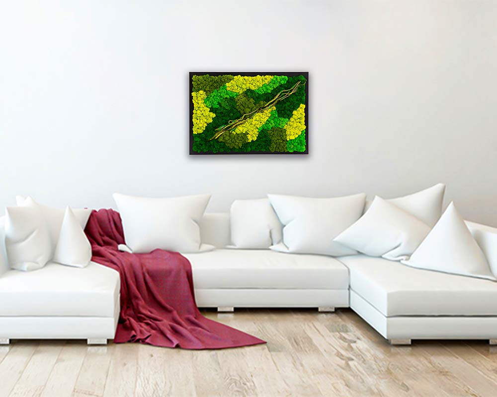 LVZHIHUAN Moss Wall decor Real Preserved Moss No Maintenance Required Eco Natural Green Wall Art Moss Frame Living Plants Vertical Garden 19.7 x13.8inch,Black Frame