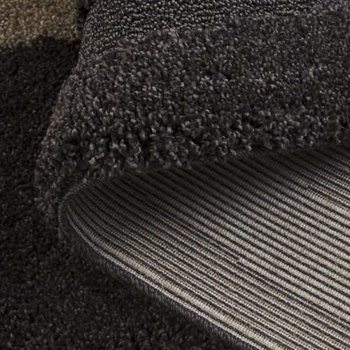 SAFAVIEH Florida Shag Collection Accent Rug - 3'3" x 5'3", Dark Brown & Beige, Non-Shedding & Easy Care, 1.2-inch Thick Ideal for High Traffic Areas in Entryway, Living Room, Bedroom (SG451-2813)