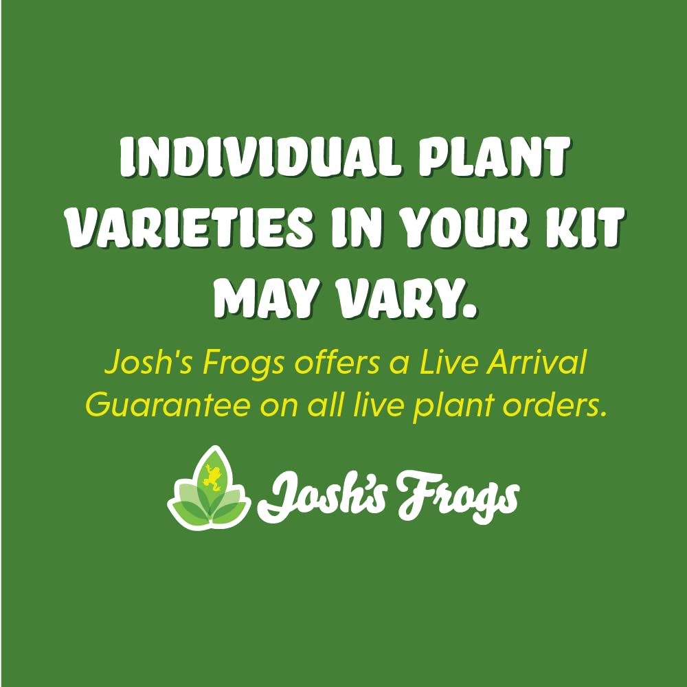 Josh's Frogs Desert Plant Kits for Arid Bioactive Terrariums (Extra Small)