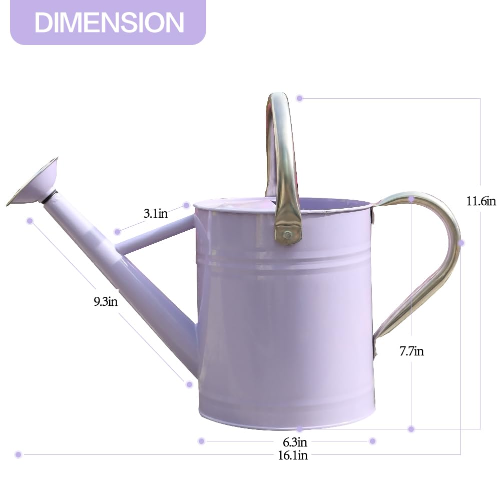 yourjoy Metal Watering Can, One Gallon Watering Cans Stainless Steel for Outdoor Indoor Garden Plants Watering (Stainless Steel Handle Purple)