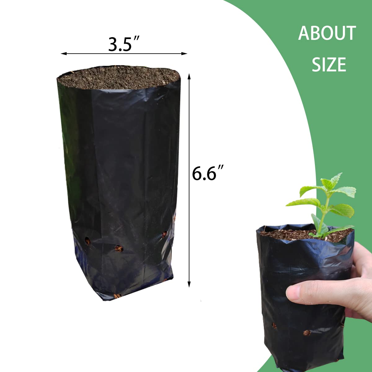 Belit 100 Pcs Plant Nursery Bags, Plastic Seedling Pots Container for Fruit Tree, Flower, Starting saplings, Plant Grow(3.5"x6.6")