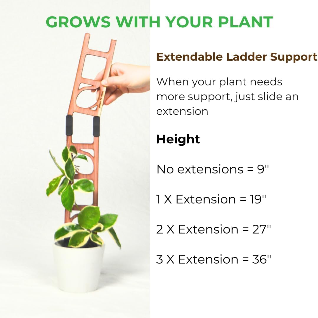 Treleaf Stella Extendable Ladder Trellis - Wooden Plant Trellis for Indoor Climbing Plants, Modular Plant Support Stake with 12” Base + 8” Extension - Perfect for Ivy, Hoya, Houseplants