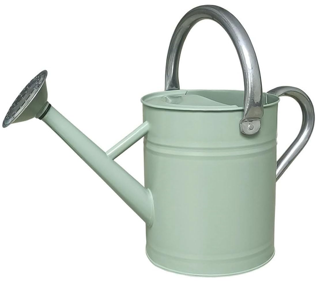 Metal Watering Can 1 Gallon with Removable Spout, Ideal Plant Watering Can for Indoor and Outdoor Plants (One Gallon Creamgreen)