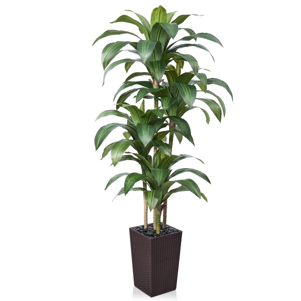 VeriNatural Artificial Dracaena Tree 6FT - Fake Tree with Brown Taper Planter & Pebbles - UV Resistant Faux Yucca Tropical Plant - Artificial Trees for Home Office Living Room Decor Indoor Outdoor