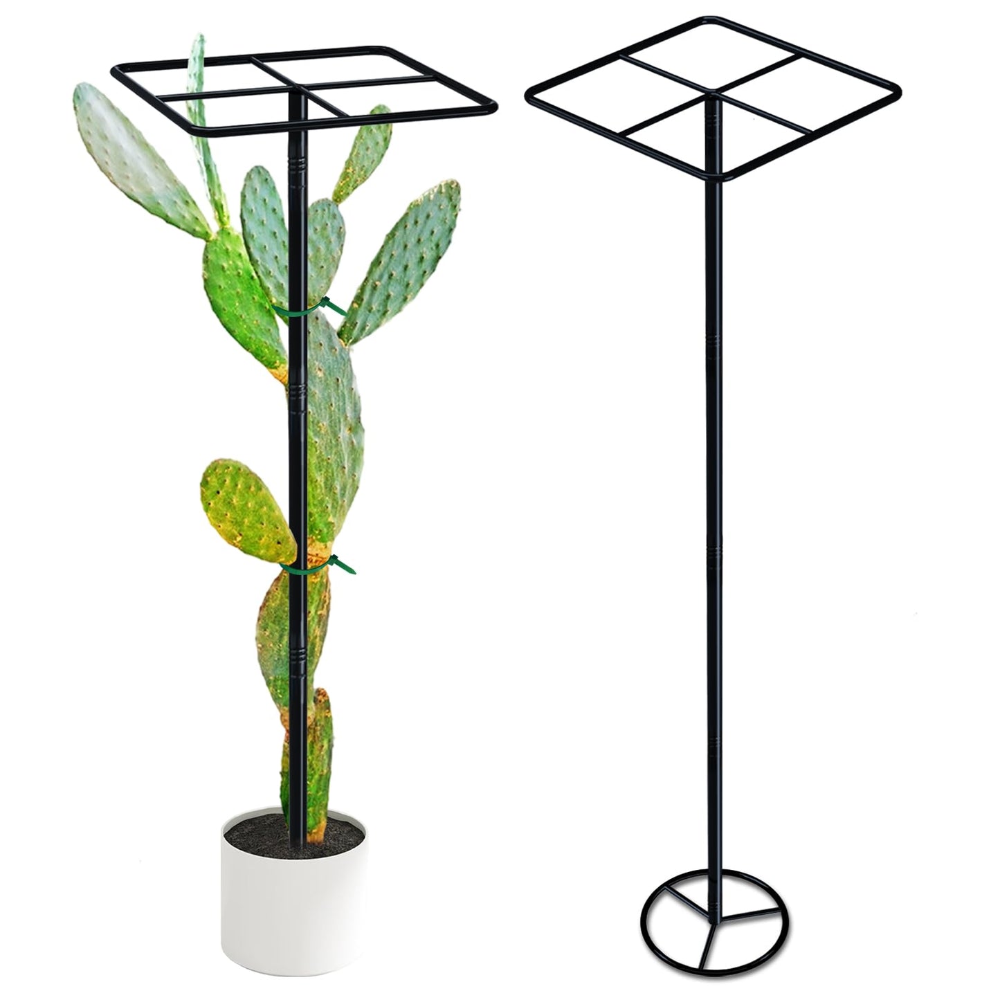 iCHKED 63'' Metal Dragon Fruit Trellis, Adjust Durable Dragon Fruit Plant Trellis Support Garden Fruit Stand for Vertical Climbing Plants Trees Cactus Roses Vines Outdoor Indoor,1 Pcs
