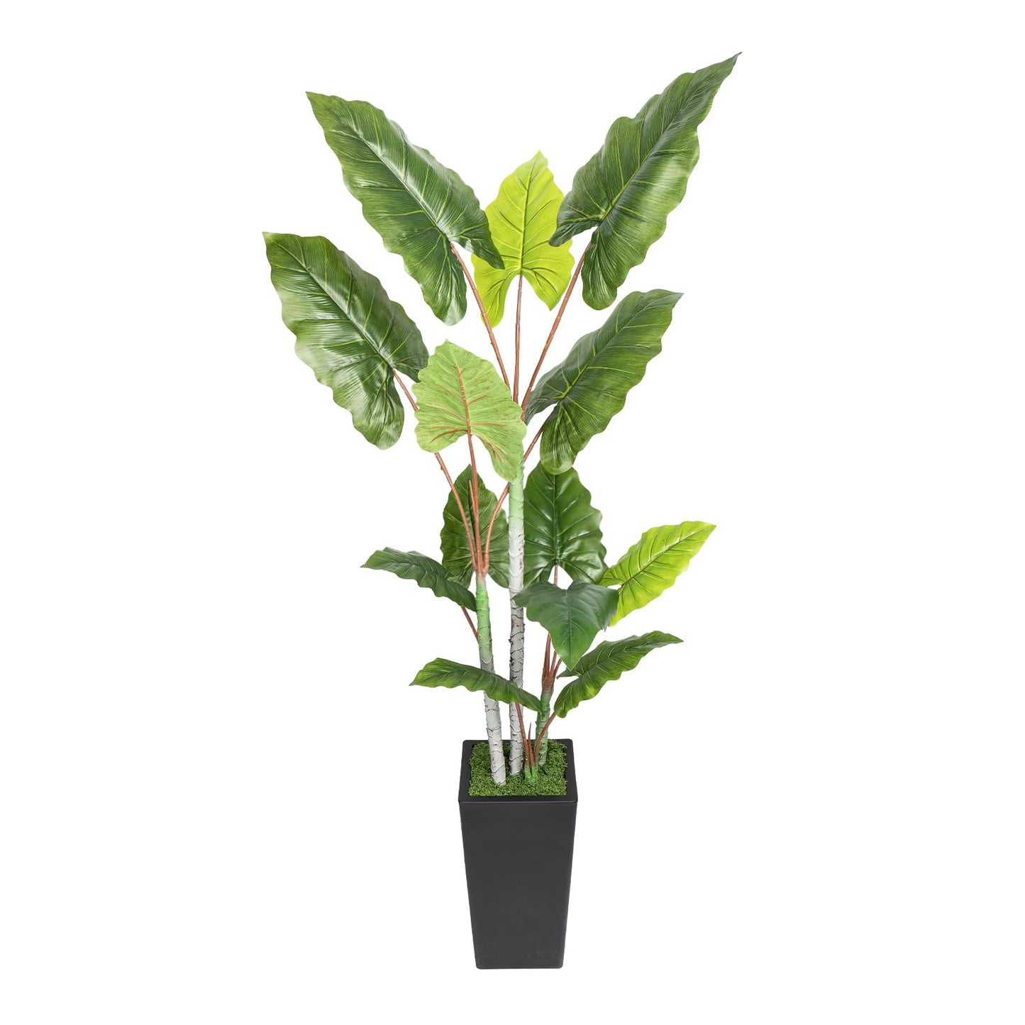 Artificial Plant Indoor 5.5FT - Fake Tree with Black Tall Planter - Faux Silk Plants Tall Fake Floor Plant in Pot - Artificial Trees for Home Office Living Room Decor Indoor